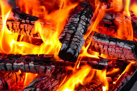Fire with coals and fire on nature picnic background. Burns out a bonfire for food on the street