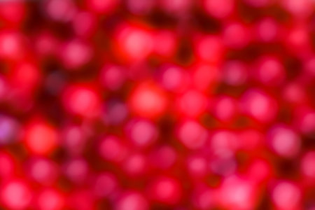 Beautiful sweet cherry background on nature in the park gardenの写真素材