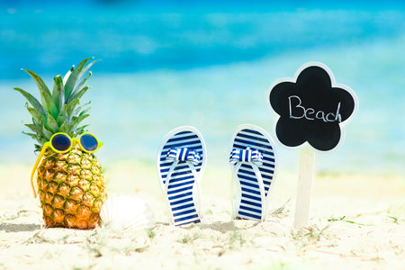 Pineapple in nature by the sea with sneakers on the shore nature backgroundの写真素材