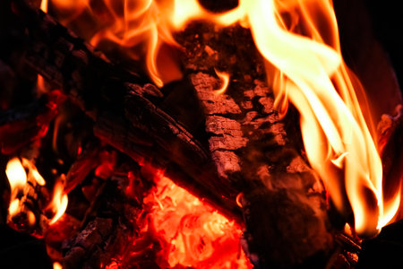 Fire with coals and fire on nature picnic background. Burns out a bonfire for food on the street