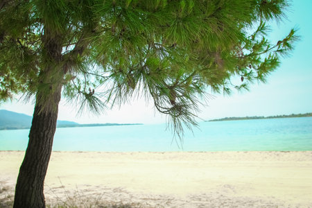beautiful nature by the sea in greece backgroundの写真素材