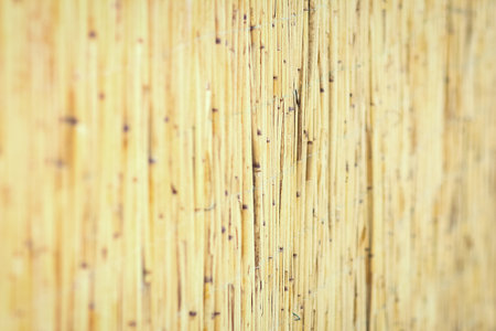 Beautiful reed fence wall on pyrode background