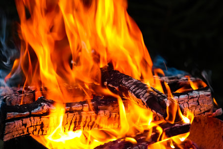 Fire with coals and fire on nature picnic background. Burns out a bonfire for food on the street