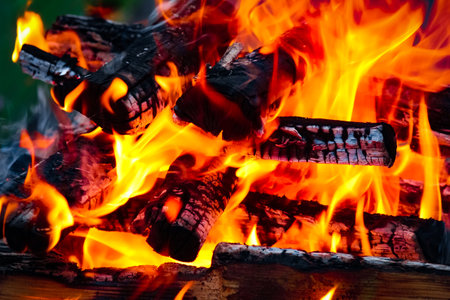 Fire with coals and fire on nature picnic background. Burns out a bonfire for food on the streetの写真素材