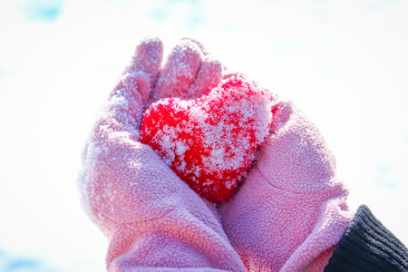 Heart in the hands of a girl against the sky Valentine's day in a park in natureの写真素材