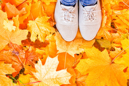 feet on the background of leaves in autumn on a background of the summerの写真素材