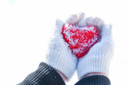 Heart in the hands of a girl against the sky Valentine's day in a park in natureの写真素材