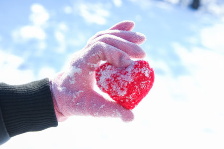 Heart in the hands of a girl against the sky Valentine's day in a park in natureの写真素材