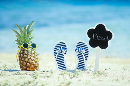 Pineapple in nature by the sea with sneakers on the shore nature backgroundの写真素材
