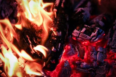 Fire with coals and fire on nature picnic background. Burns out a bonfire for food on the streetの写真素材