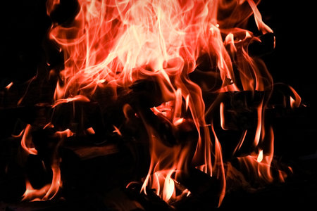 Fire with coals and fire on nature picnic background. Burns out a bonfire for food on the streetの写真素材