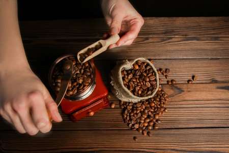 a female  hands and coffee grinderの写真素材