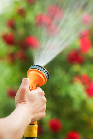 A man is watering flowers from a hose sprinkler in a park on nature backgroundの写真素材