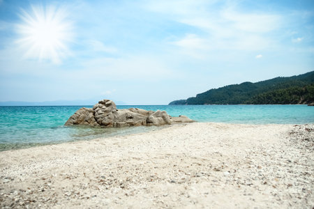 beautiful nature by the sea on nature in the park backgroundの写真素材