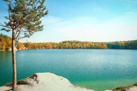 nice beautiful autumn road for travelの写真素材