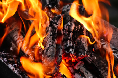 Fire with coals and fire on nature picnic background. Burns out a bonfire for food on the streetの写真素材