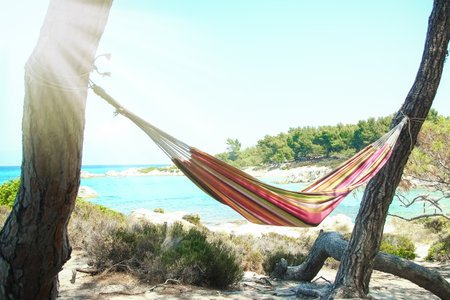 beautiful hammock on sea in greece on nature backgroundの写真素材