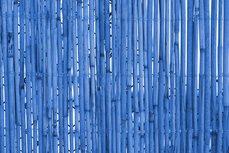 Winter fence on nature in the park backgroundの写真素材