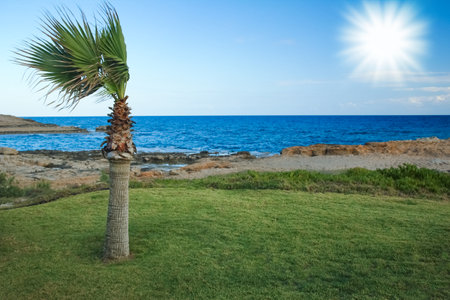 beautiful nature of Cyprus near the sea in the open airの写真素材