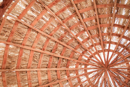 Stylishly beautiful sea umbrella backgroundの写真素材