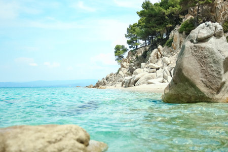 beautiful nature by the sea on nature in the park backgroundの写真素材