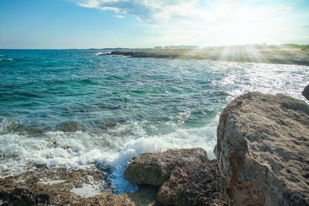 beautiful nature of Cyprus near the sea in the open airの写真素材