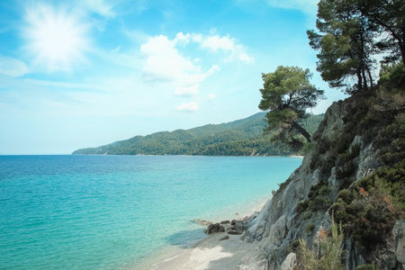 beautiful nature by the sea on nature in the park backgroundの写真素材