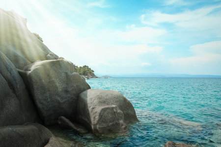 beautiful nature by the sea on nature in the park backgroundの写真素材
