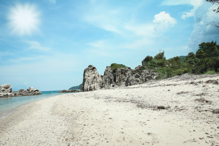 beautiful nature by the sea on nature in the park backgroundの写真素材