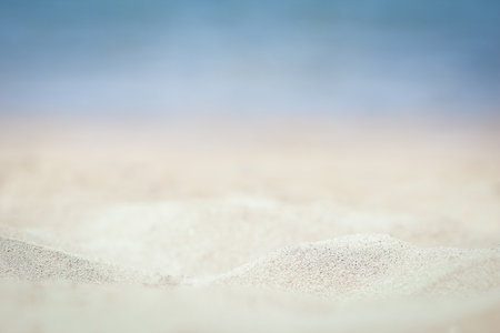 Stylishly beautiful seashell coral on sand background on seaの写真素材