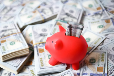 dollars in bundles on a white background with a piggy bank pig loan to save the bank business concept in a pandemicの写真素材