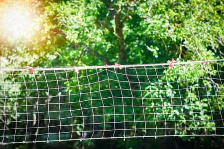 net volleyball background sport fun gameの写真素材