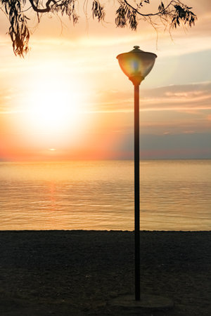 Sunset by the sea tree on nature in travel silhouetteの写真素材