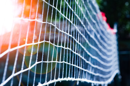 net volleyball background sport fun gameの写真素材