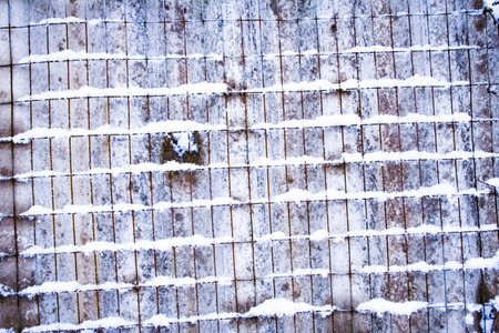 mesh in winter on nature in park backgroundの写真素材