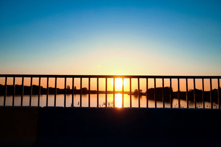 silhouette grass nature sunsetの写真素材