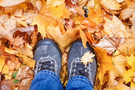 feet on the background of leaves in autumn on a background of the summerの写真素材