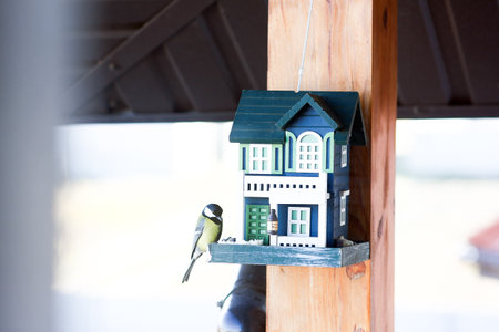 tits at the feeder house winter helping birdsの写真素材