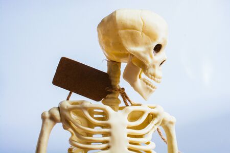 Model of artificial  Human Skeleton on gray backgroundの写真素材