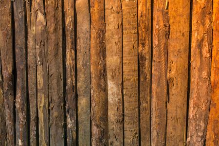 Vintage rustic pattern background on wooden planksの写真素材