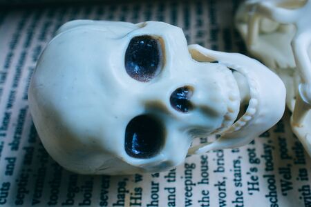 Model of artificial  Human Skeleton in a book with textの写真素材