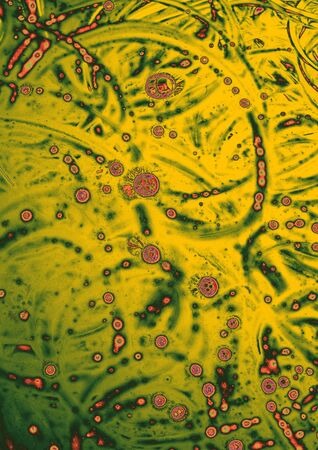 Air bubbles inside water base form patternsの写真素材