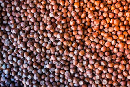 Ripe unshelled hazelnuts  as nut  background in viewの写真素材