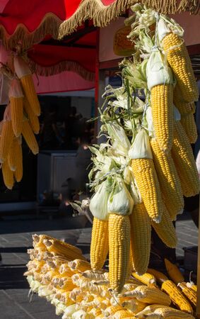 Plenty of organic fresh peeled corns as food backgroundの写真素材