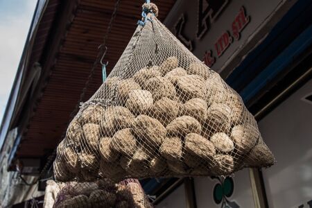 Collection of sea sponges hanging on a market stall