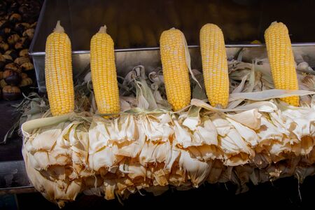 Grains of yellow ripe corn. uncooked corn in viewの写真素材