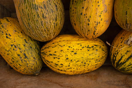 Beautiful tasty ripe melons at the market