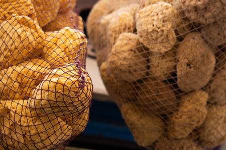 Collection of natural marine sea sponges for spa and Wellness  on a market stallの写真素材