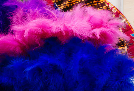 Beautiful colorful bird feathers for decorative purposes