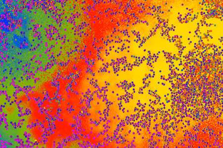Oil bubbles inside water base form patterns